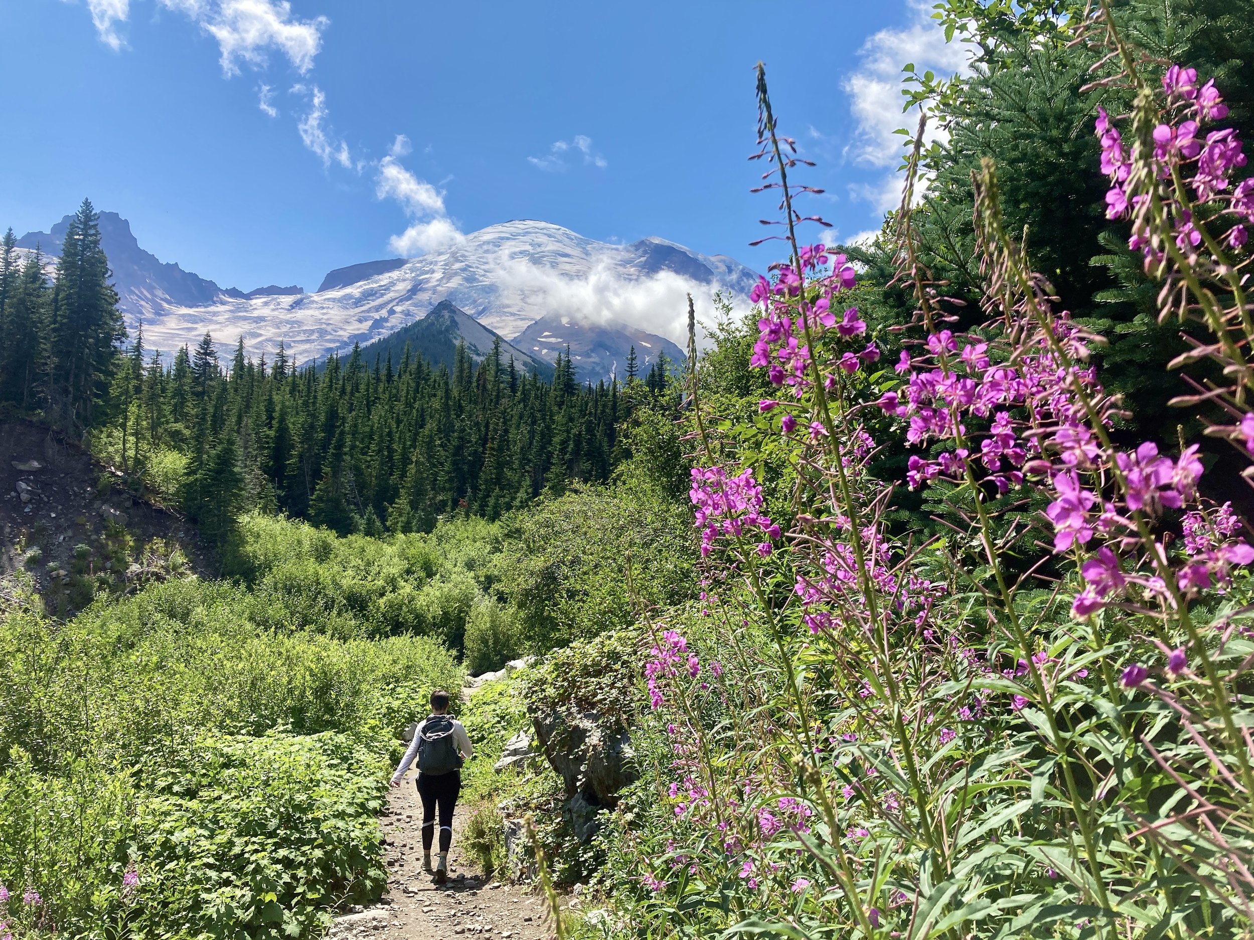   Mount Rainier National Park, Washington  