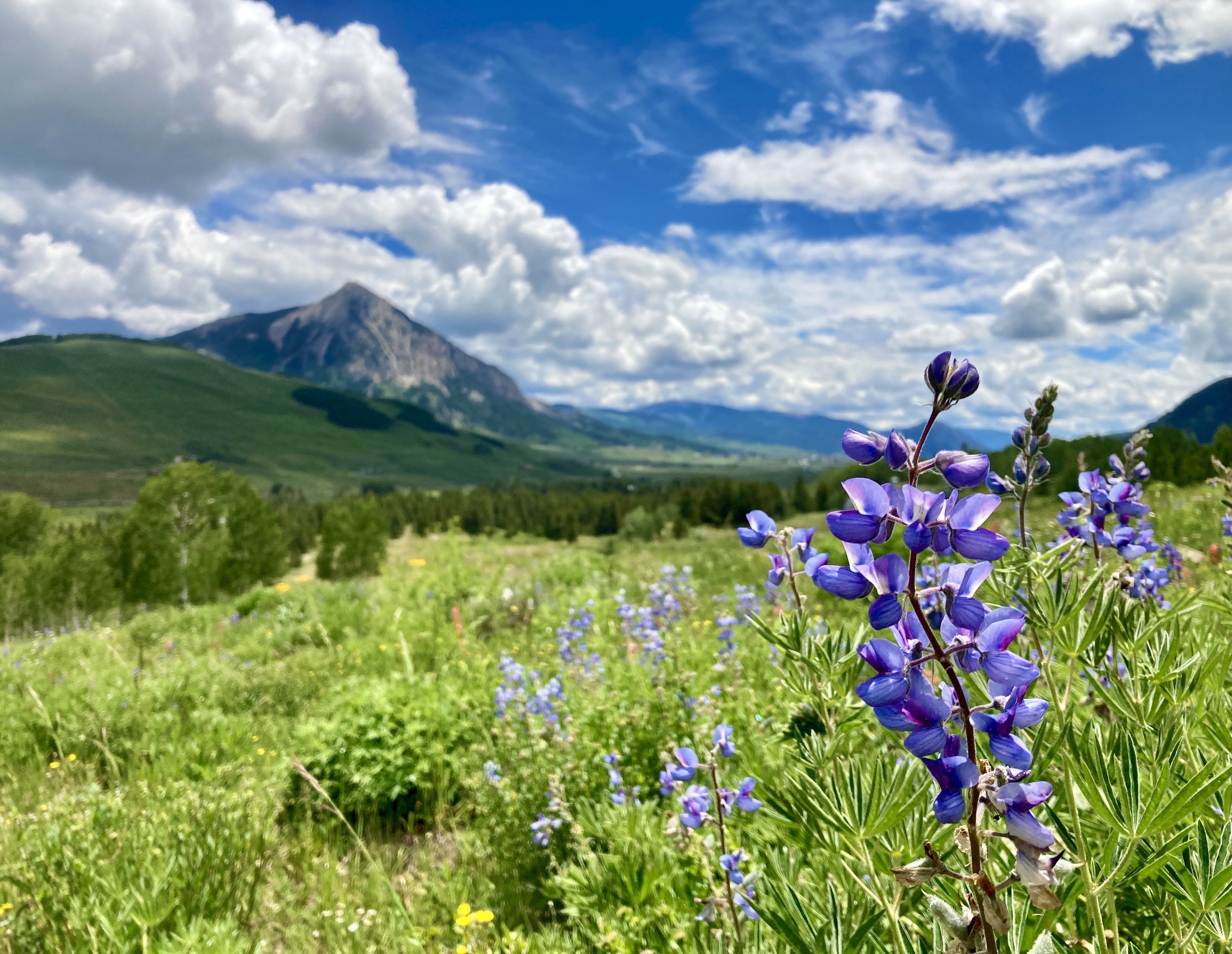   Crested Butte, Colorado  