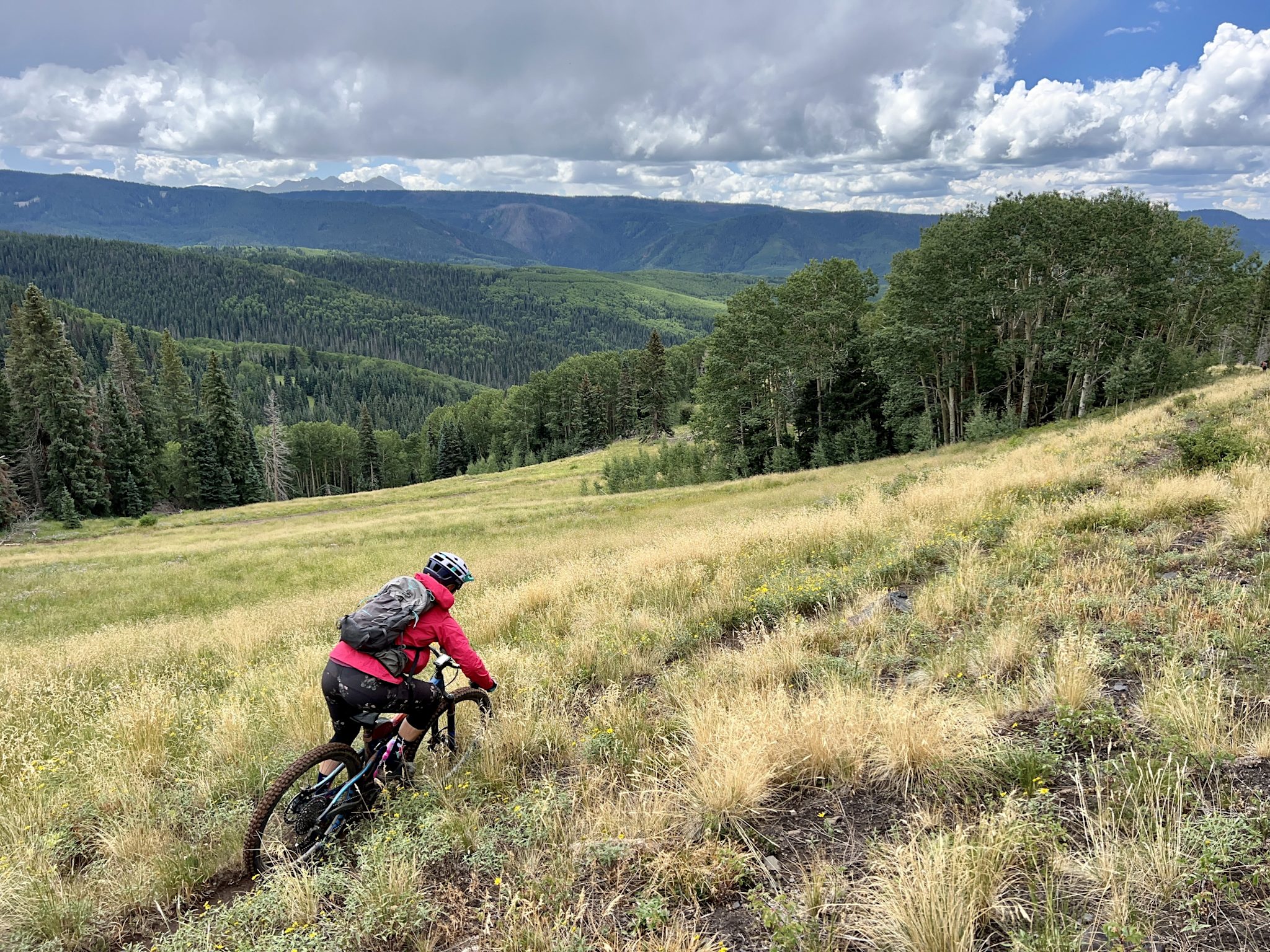 A rider in a red jacket pedals through a golden alpine meadow, with dark evergreen forest and layered blue ridgelines stretching to the horizon under towering clouds.