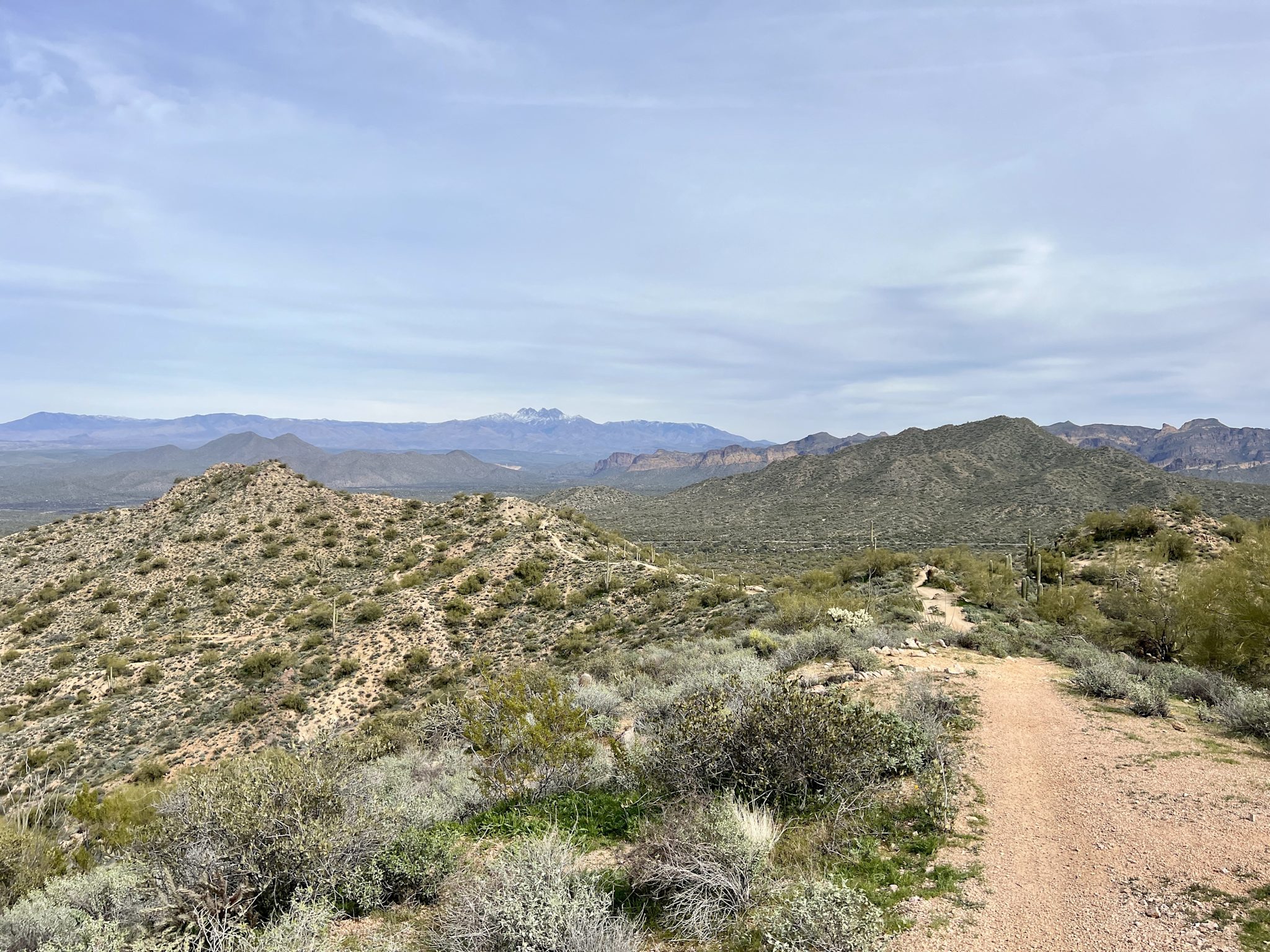 A sandy desert singletrack winds along a saguaro-studded ridge in the Sonoran Desert, with hazy mountain ranges layered across the horizon.