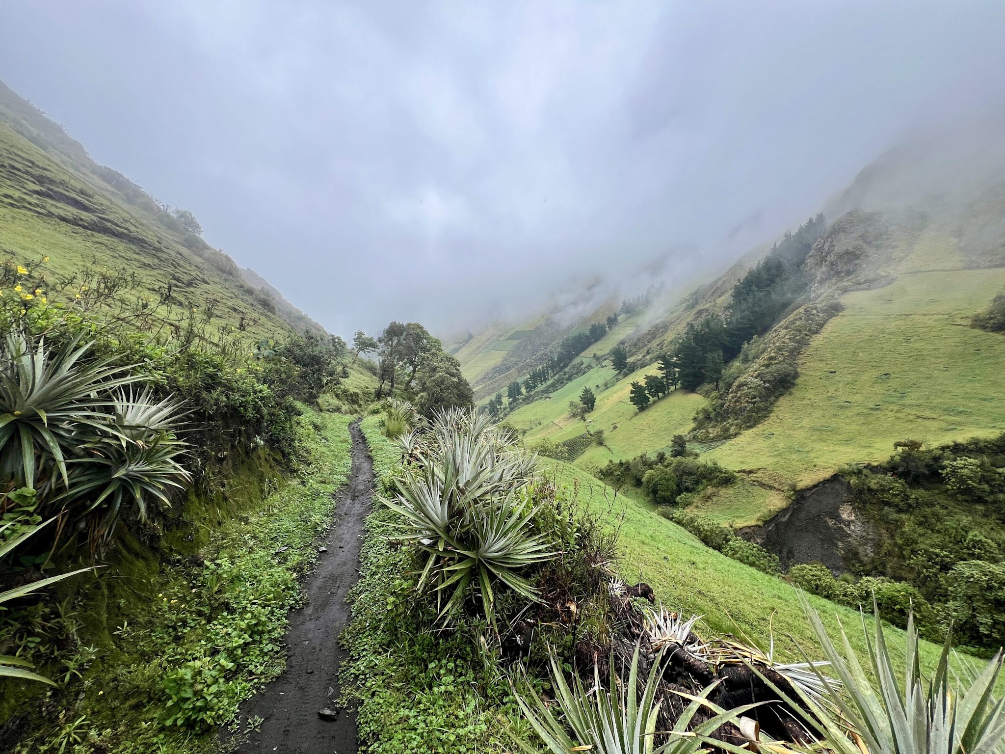 A narrow, wet singletrack traverses a steep green valley wall lined with spiky paramo plants, with cloud pouring over the ridges above.