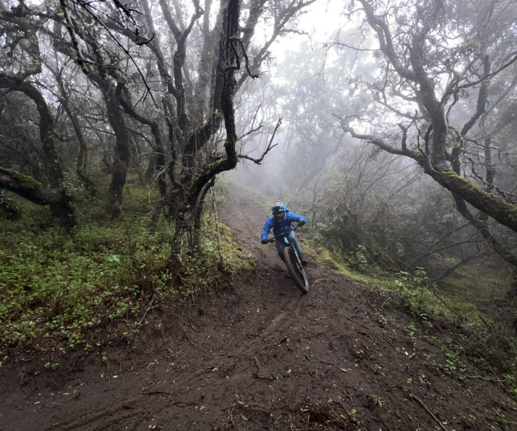 15 New Mountain Bike Trails I Explored in 2023