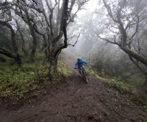 15 New Mountain Bike Trails I Explored in 2023