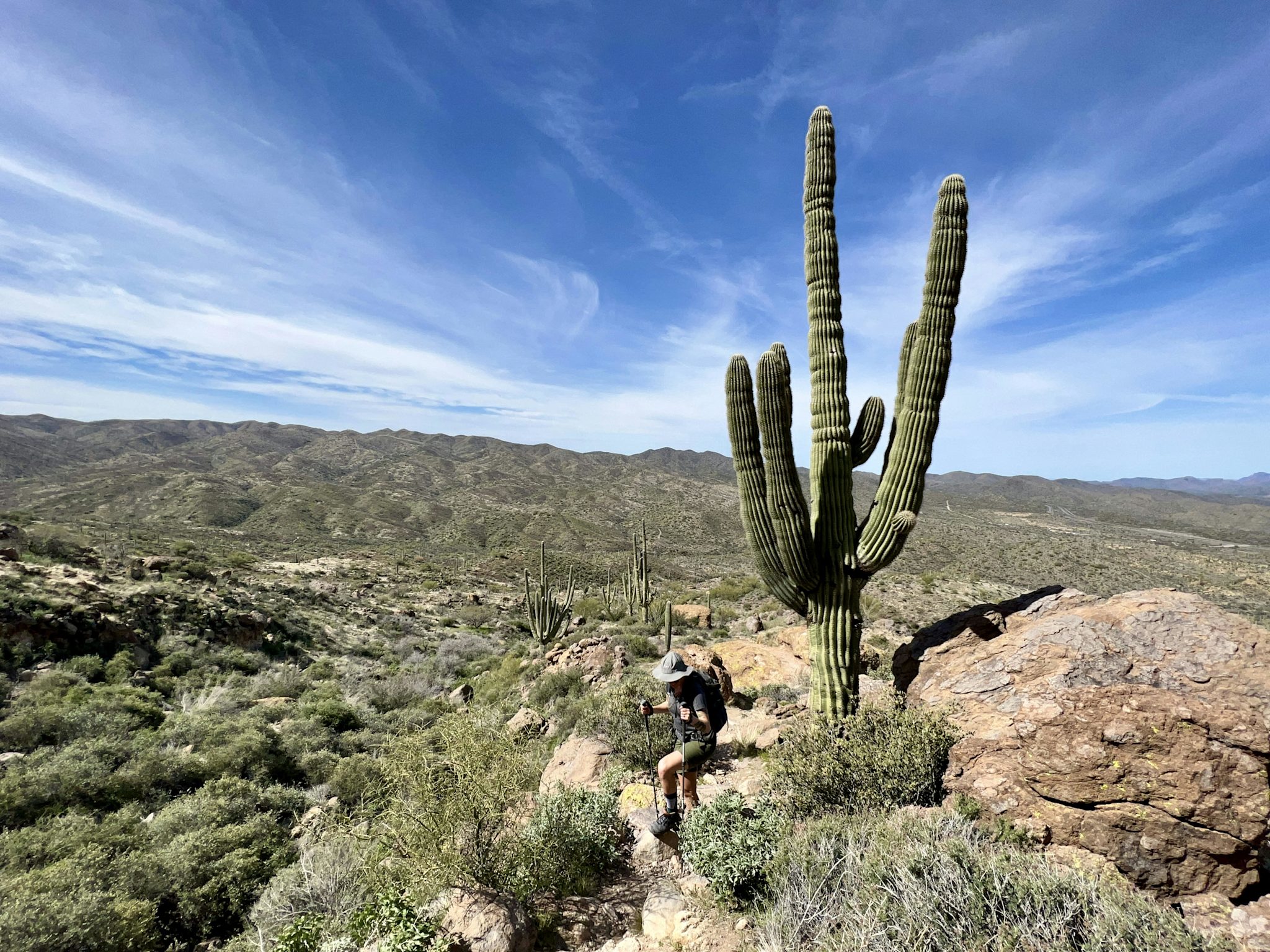 A hiker climbs a rocky desert trail beside a towering multi-armed saguaro cactus, with rolling Sonoran Desert hills stretching to the horizon under wispy clouds.