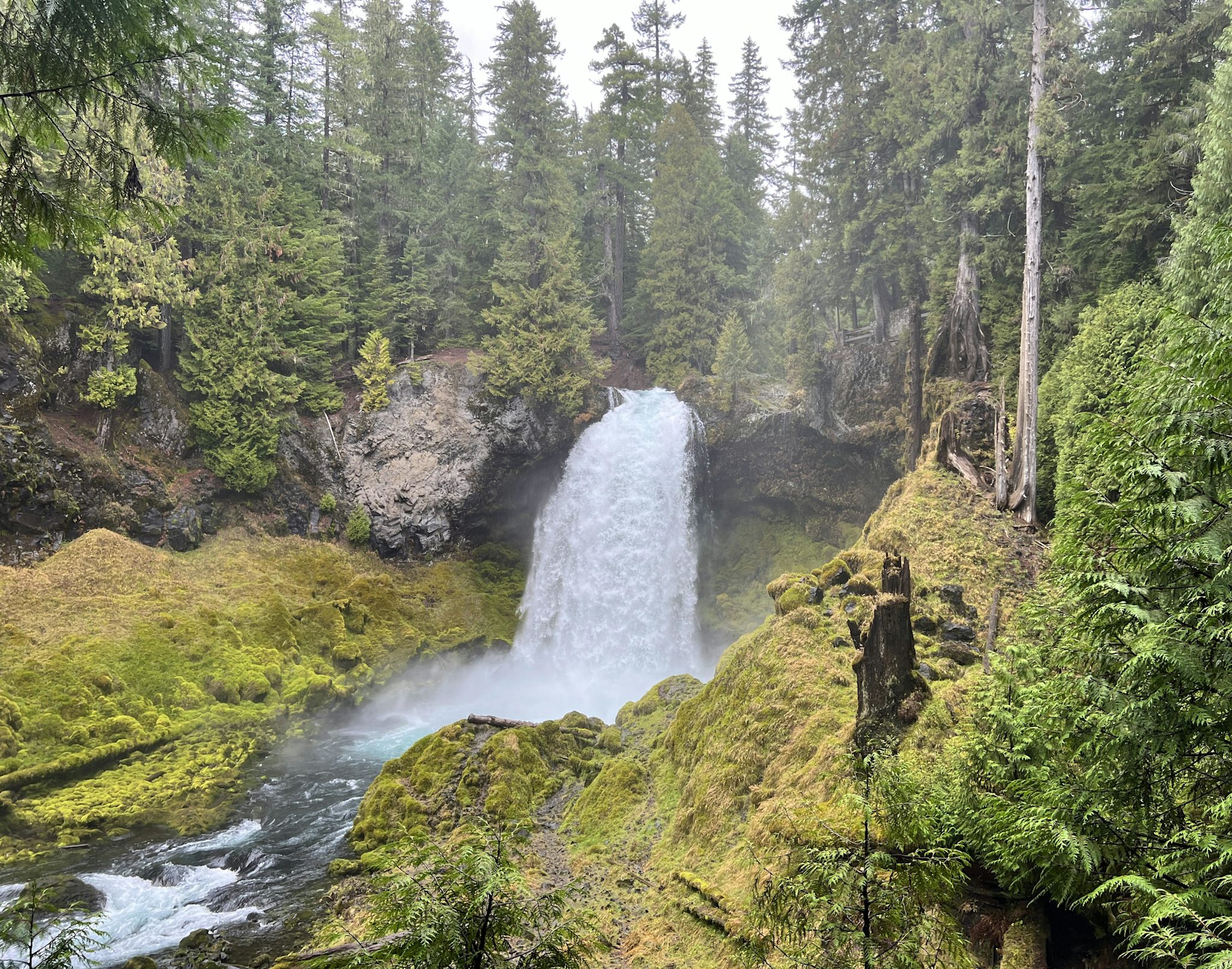 A wide waterfall thunders over a dark basalt lip into a misty pool, surrounded by moss-covered rock and dense old-growth Oregon rainforest.