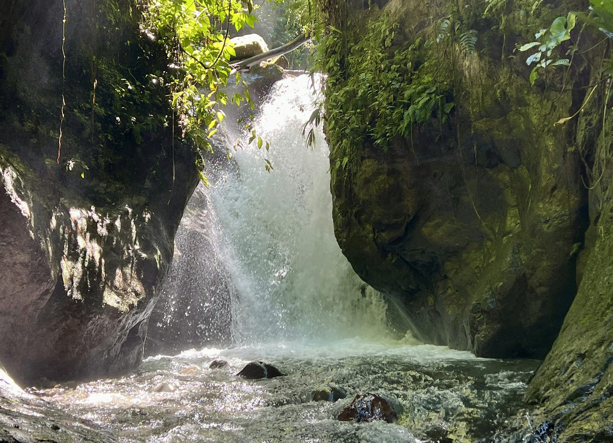 A waterfall drops through a narrow, sunlit cleft between moss-draped canyon walls into a rushing cloud-forest stream.